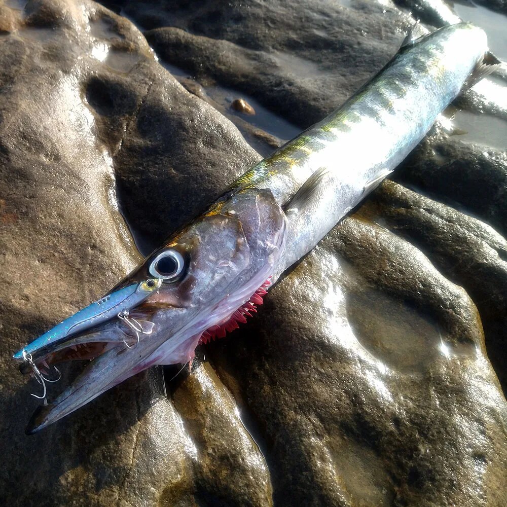 GOBAIT VIB Balıkçılık Cazibesi - Fishing Hook Treble incelemesi ve fiyatı